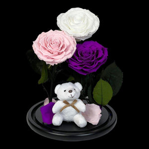Set Trandafiri Criogenati Mari Alb Roz Purpuriu în Cupolă Elegantă de Sticlă - Trandafir - Criogenat.ro
