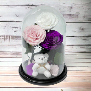 Set Trandafiri Criogenati Mari Alb Roz Purpuriu în Cupolă Elegantă de Sticlă - Trandafir - Criogenat.ro