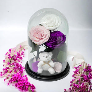 Set Trandafiri Criogenati Mari Alb Roz Purpuriu în Cupolă Elegantă de Sticlă - Trandafir - Criogenat.ro