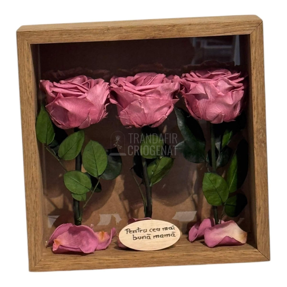 Tablou Cu 3 Trandafiri Criogenați Mov Pudrat În Ramă Din Stejar Masiv Cu Plexiglas Protector Cadou Elegant Și Natural - Trandafir - Criogenat.ro