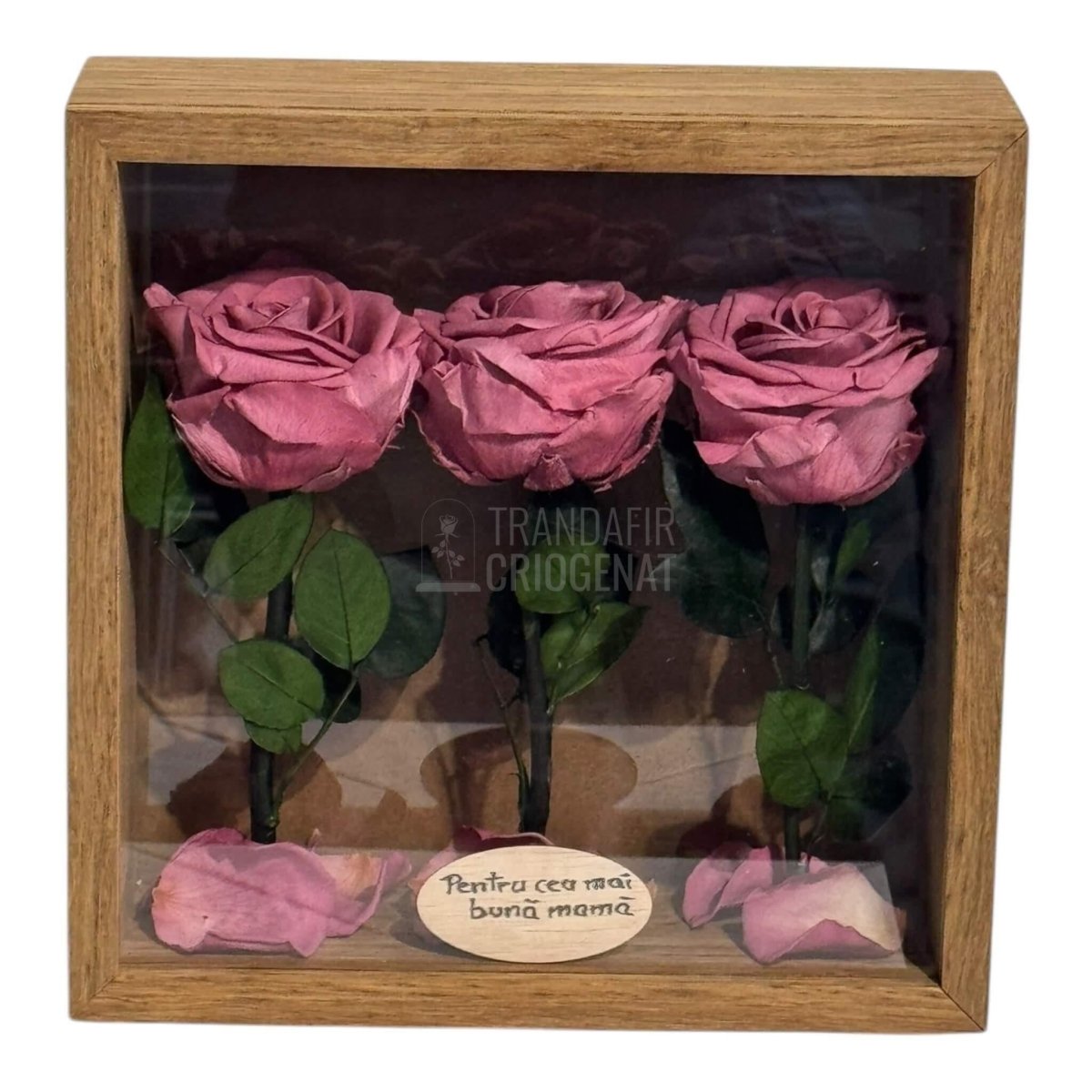 Tablou Cu 3 Trandafiri Criogenați Mov Pudrat În Ramă Din Stejar Masiv Cu Plexiglas Protector Cadou Elegant Și Natural - Trandafir - Criogenat.ro