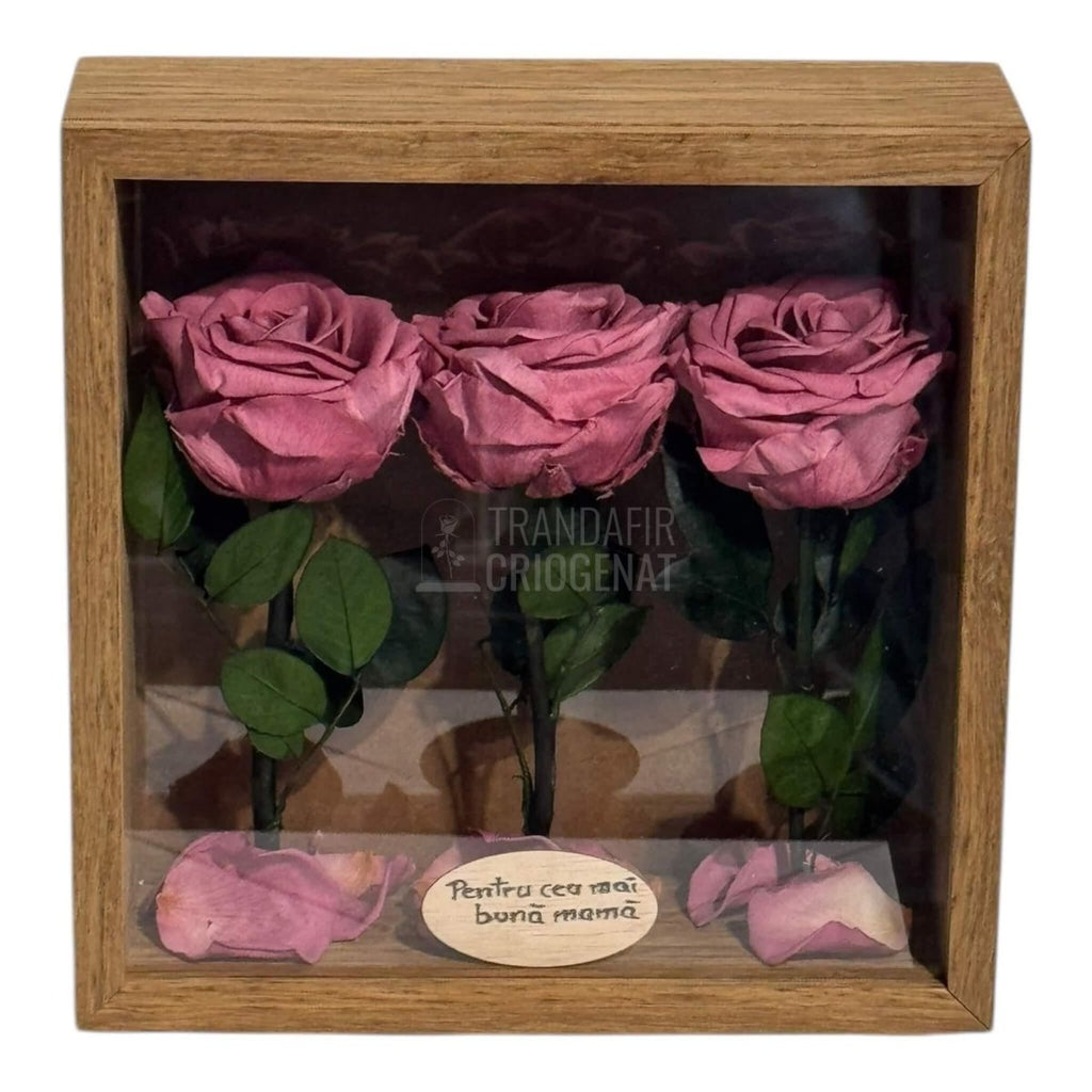 Tablou Cu 3 Trandafiri Criogenați Mov Pudrat În Ramă Din Stejar Masiv Cu Plexiglas Protector Cadou Elegant Și Natural - Trandafir - Criogenat.ro