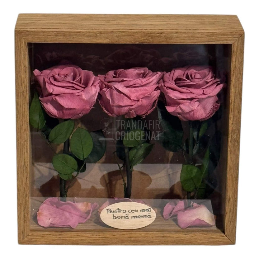 Tablou Cu 3 Trandafiri Criogenați Mov Pudrat În Ramă Din Stejar Masiv Cu Plexiglas Protector Cadou Elegant Și Natural - Trandafir - Criogenat.ro