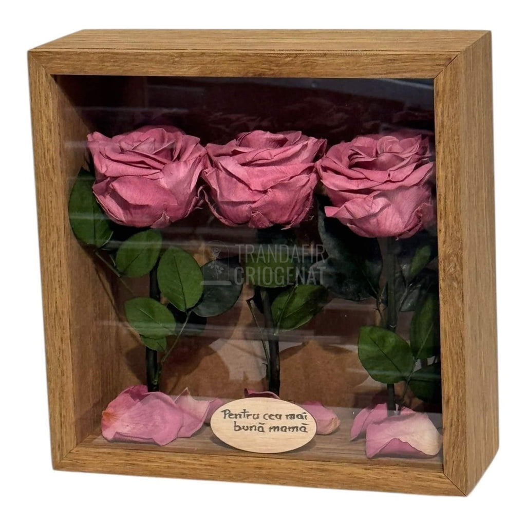 Tablou Cu 3 Trandafiri Criogenați Mov Pudrat În Ramă Din Stejar Masiv Cu Plexiglas Protector Cadou Elegant Și Natural - Trandafir - Criogenat.ro