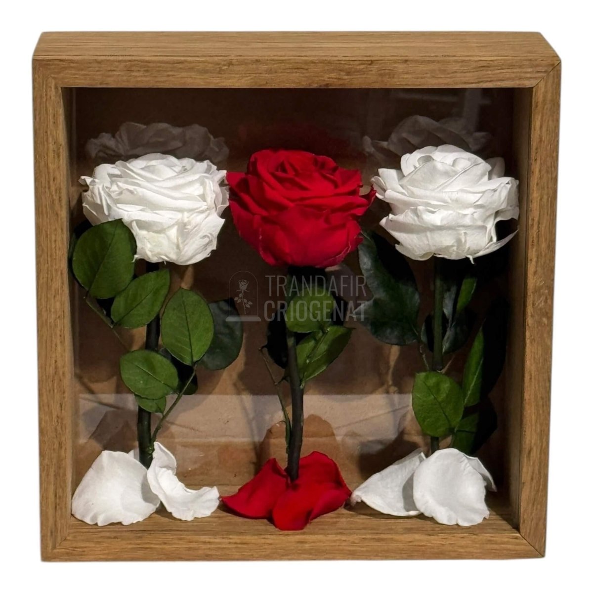 Tablou Cu 3 Trandafiri Criogenați Pe Pat De Petale Eleganță Și Rafinament 27x27cm - Trandafir - Criogenat.ro
