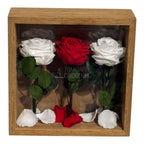 Tablou Cu 3 Trandafiri Criogenați Pe Pat De Petale Eleganță Și Rafinament 27x27cm - Trandafir - Criogenat.ro