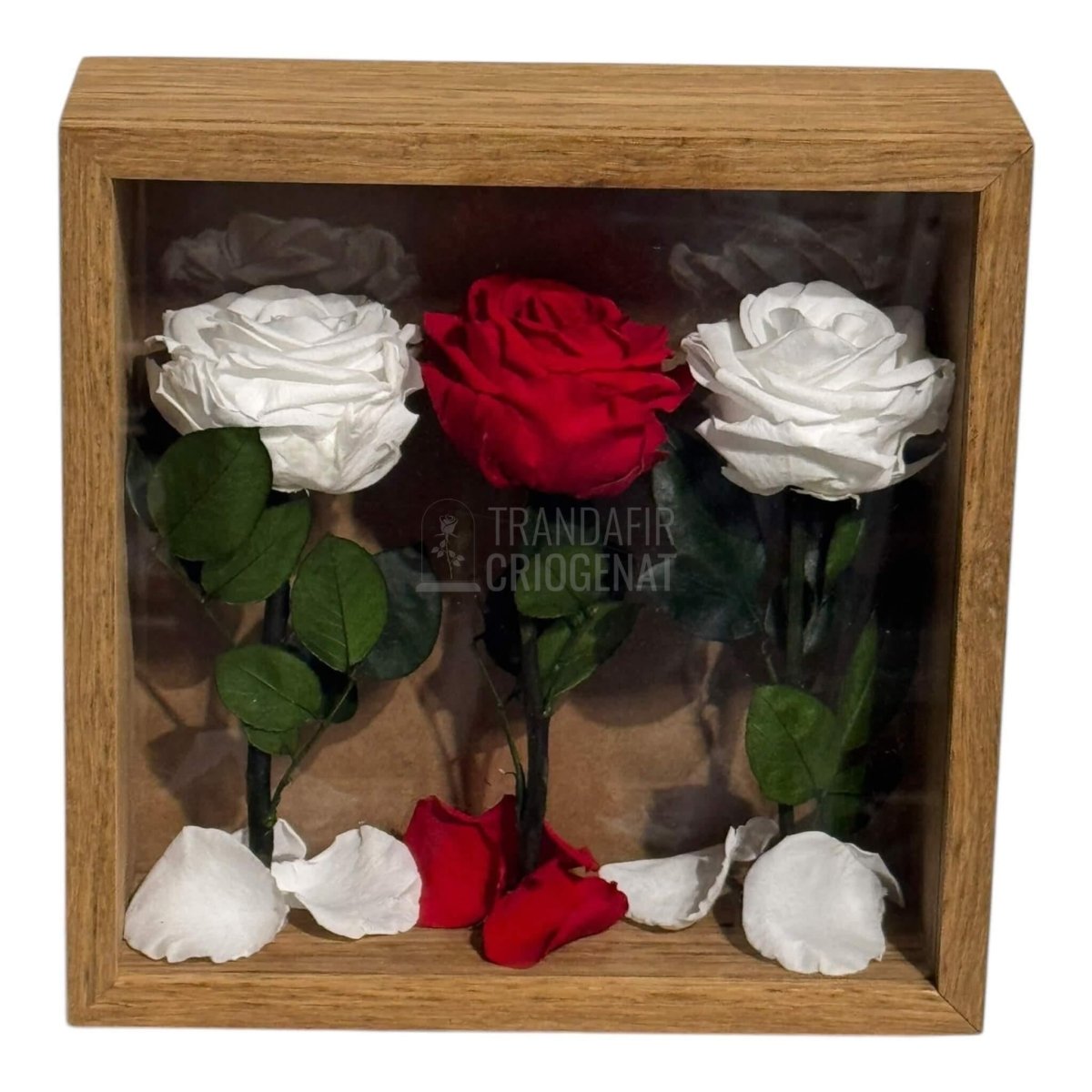 Tablou Cu 3 Trandafiri Criogenați Pe Pat De Petale Eleganță Și Rafinament 27x27cm - Trandafir - Criogenat.ro
