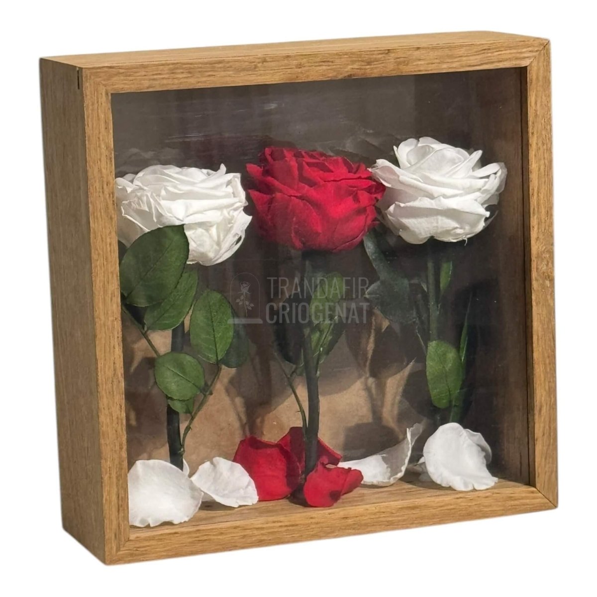 Tablou Cu 3 Trandafiri Criogenați Pe Pat De Petale Eleganță Și Rafinament 27x27cm - Trandafir - Criogenat.ro