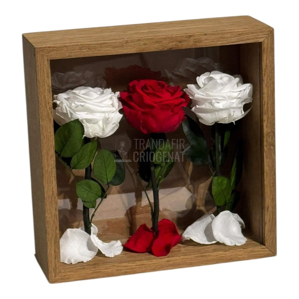 Tablou Cu 3 Trandafiri Criogenați Pe Pat De Petale Eleganță Și Rafinament 27x27cm - Trandafir - Criogenat.ro