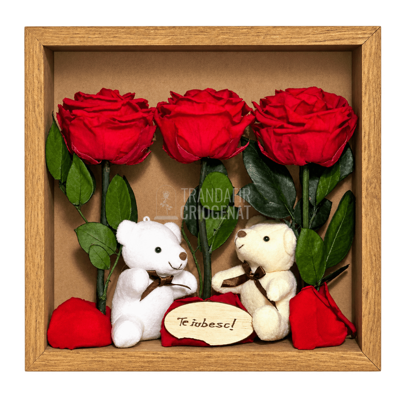 Tablou cu 3 trandafiri criogenați roșii pe petale 27 × 27 cm, cu 2 ursuleți - Trandafir-Criogenat.ro