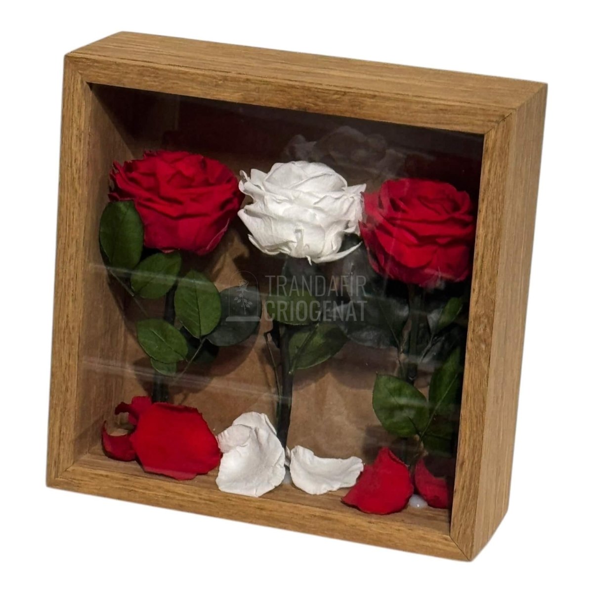 Tablou Cu 3 Trandafiri Criogenați Simbol Al Iubirii Și Purității Realizat Manual Cu Petale Naturale Dimensiune 27x27 cm - Trandafir - Criogenat.ro