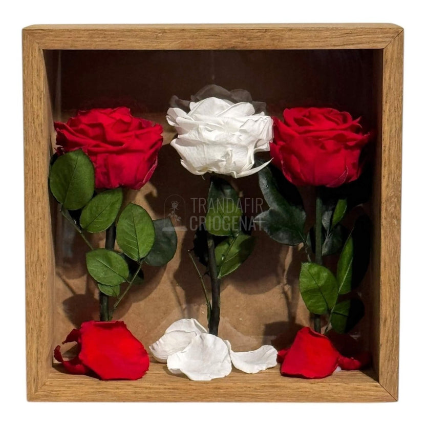 Tablou Cu 3 Trandafiri Criogenați Simbol Al Iubirii Și Purității Realizat Manual Cu Petale Naturale Dimensiune 27x27 cm - Trandafir - Criogenat.ro