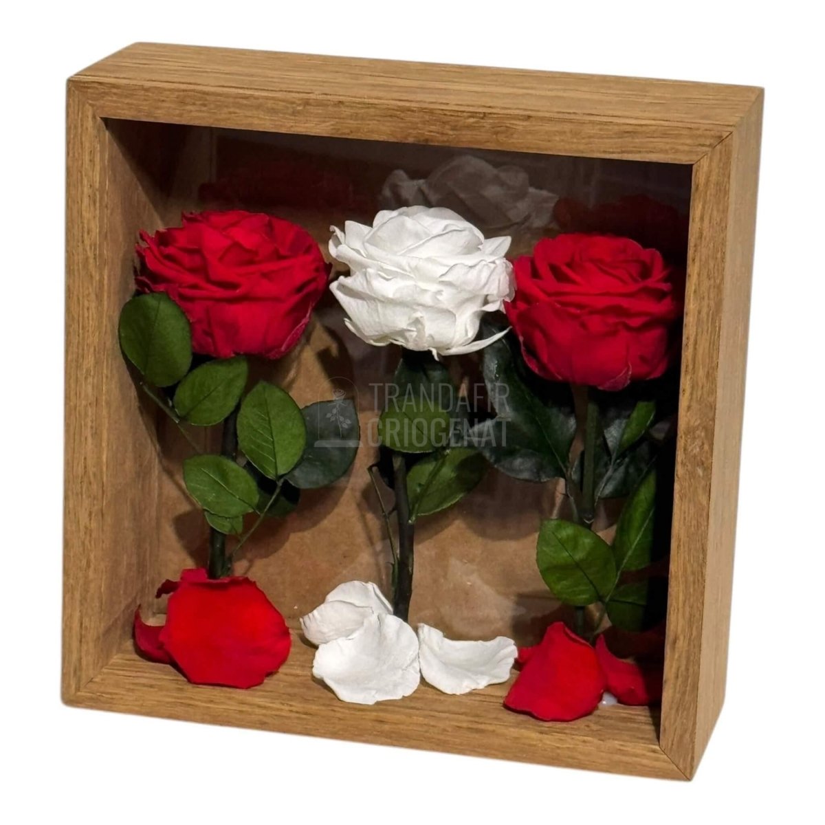 Tablou Cu 3 Trandafiri Criogenați Simbol Al Iubirii Și Purității Realizat Manual Cu Petale Naturale Dimensiune 27x27 cm - Trandafir - Criogenat.ro