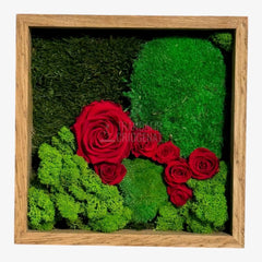 Tablou Cu Mușchi Licheni Și Trandafiri Criogenați Decor Natural Și Elegant Ramă Din Lemn De Stejar 27x27cm - Trandafir - Criogenat.ro