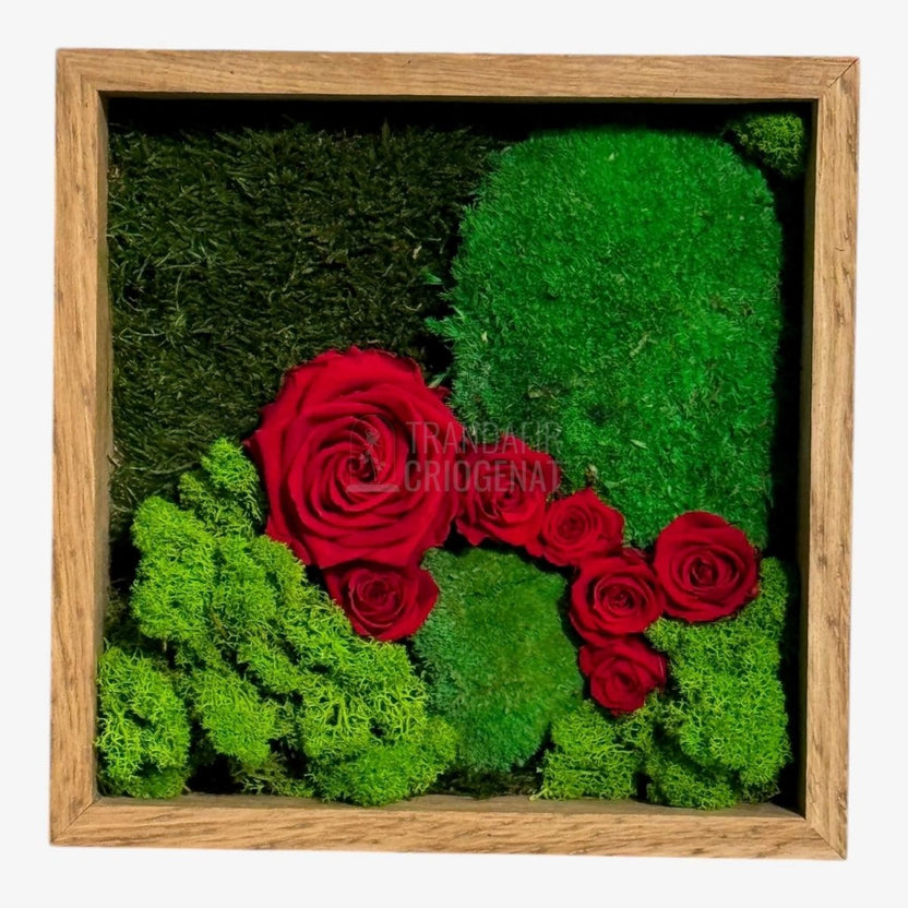 Tablou Cu Mușchi Licheni Și Trandafiri Criogenați Decor Natural Și Elegant Ramă Din Lemn De Stejar 27x27cm - Trandafir - Criogenat.ro
