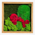Tablou Cu Mușchi Licheni Și Trandafiri Criogenați Decor Natural Și Elegant Ramă Din Lemn De Stejar 27x27cm - Trandafir - Criogenat.ro
