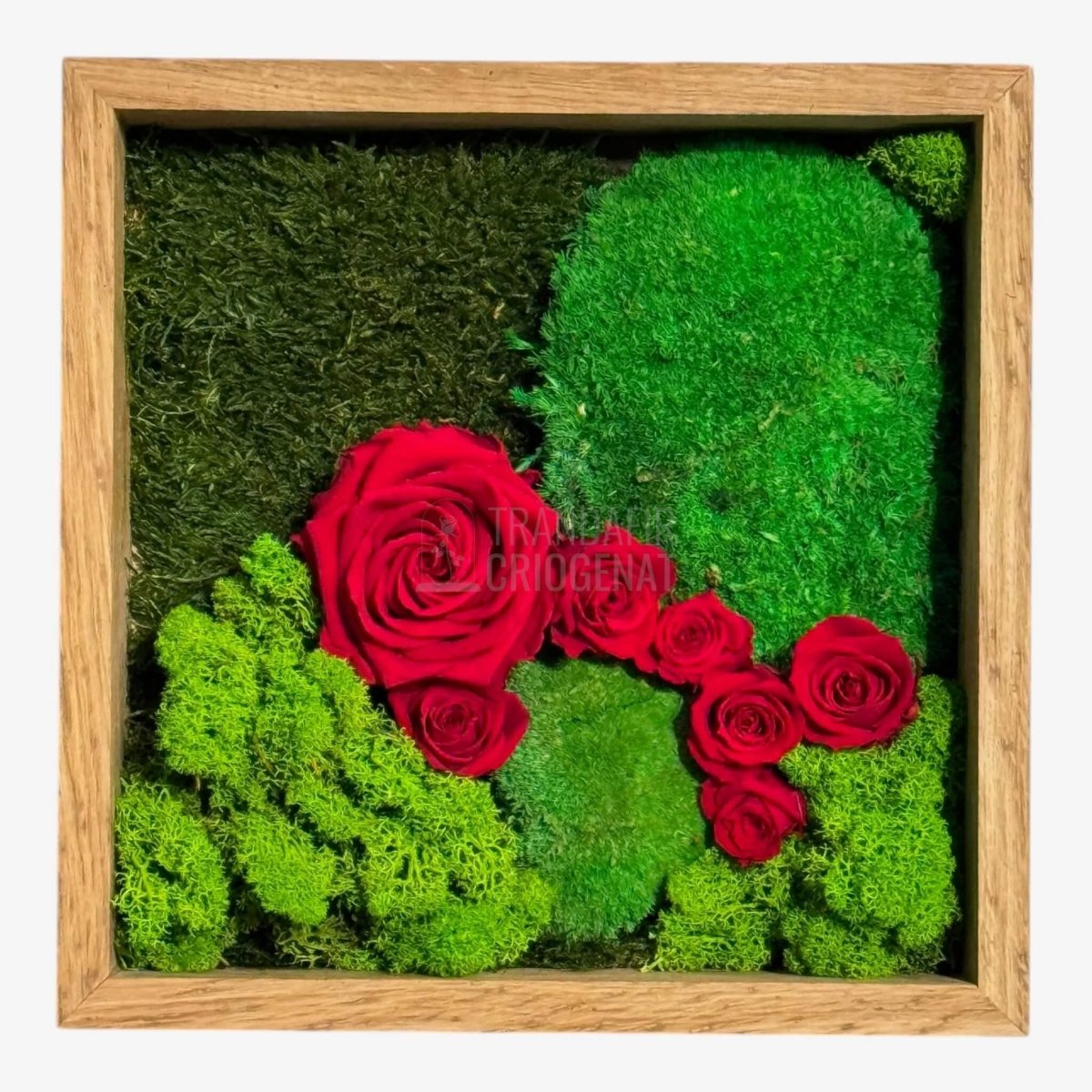 Tablou cu mușchi licheni și trandafiri criogenați decor natural și ramă din lemn de stejar 27 × 27 cm
