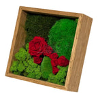 Tablou Cu Mușchi Licheni Și Trandafiri Criogenați Decor Natural Și Elegant Ramă Din Lemn De Stejar 27x27cm - Trandafir - Criogenat.ro