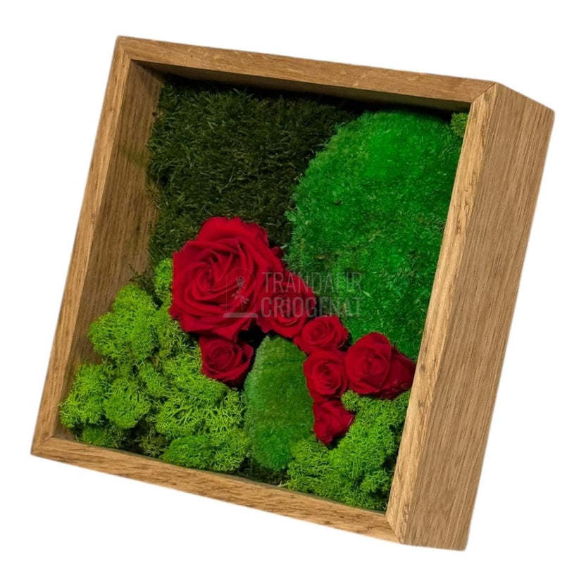 Tablou Cu Mușchi Licheni Și Trandafiri Criogenați Decor Natural Și Elegant Ramă Din Lemn De Stejar 27x27cm - Trandafir - Criogenat.ro
