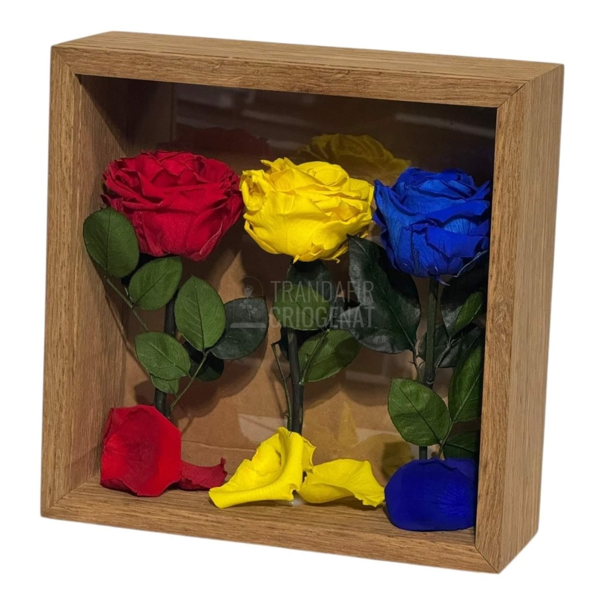 Tablou Cu Trandafiri Criogenați În Culorile României 27x27 Cm Simbol De Patriotism Și Eleganță Decor Premium - Trandafir - Criogenat.ro