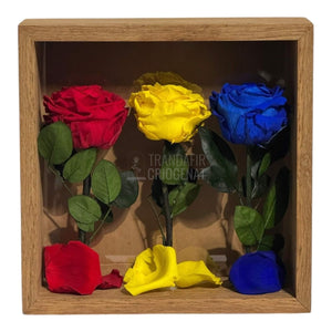 Tablou Cu Trandafiri Criogenați În Culorile României 27x27 Cm Simbol De Patriotism Și Eleganță Decor Premium - Trandafir - Criogenat.ro