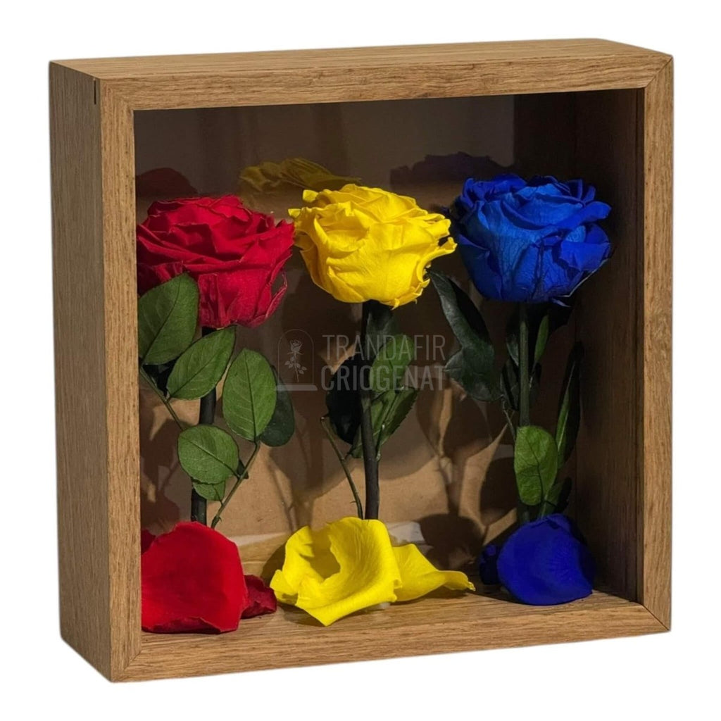 Tablou Cu Trandafiri Criogenați În Culorile României 27x27 Cm Simbol De Patriotism Și Eleganță Decor Premium - Trandafir - Criogenat.ro