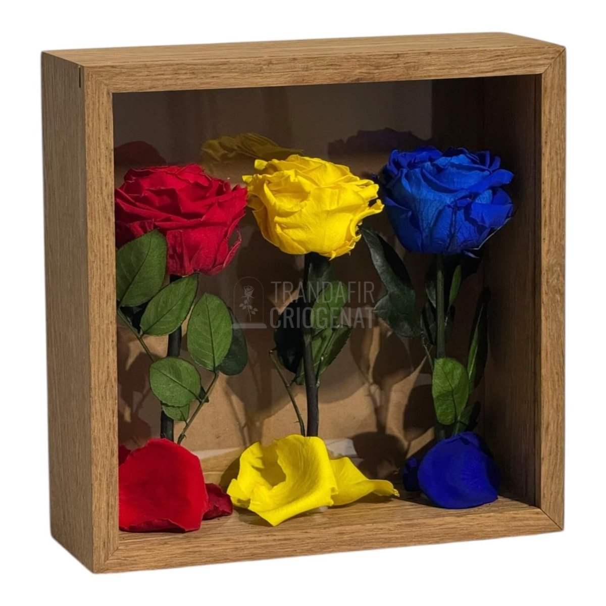 Tablou Cu Trandafiri Criogenați În Culorile României 27x27 Cm Simbol De Patriotism Și Eleganță Decor Premium - Trandafir - Criogenat.ro