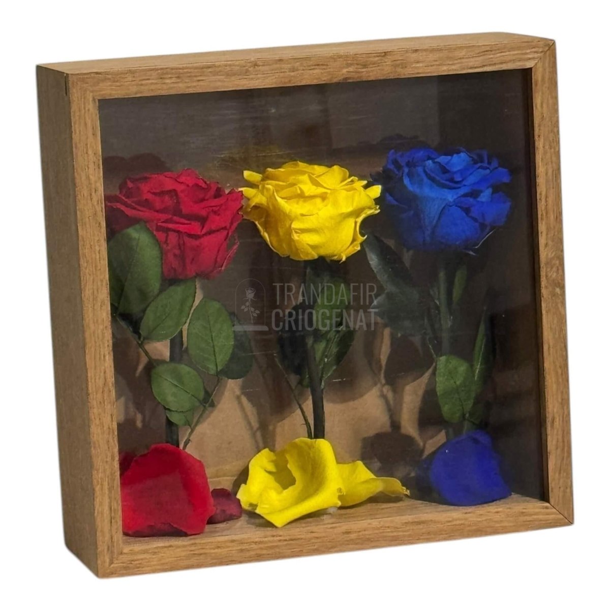 Tablou Cu Trandafiri Criogenați În Culorile României 27x27 Cm Simbol De Patriotism Și Eleganță Decor Premium - Trandafir - Criogenat.ro