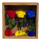 Tablou Cu Trandafiri Criogenați În Culorile României 27x27 Cm Simbol De Patriotism Și Eleganță Decor Premium - Trandafir - Criogenat.ro