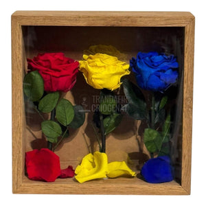 Tablou Cu Trandafiri Criogenați În Culorile României 27x27 Cm Simbol De Patriotism Și Eleganță Decor Premium - Trandafir - Criogenat.ro