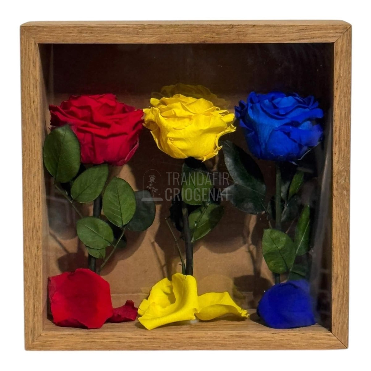 Tablou Cu Trandafiri Criogenați În Culorile României 27x27 Cm Simbol De Patriotism Și Eleganță Decor Premium - Trandafir - Criogenat.ro