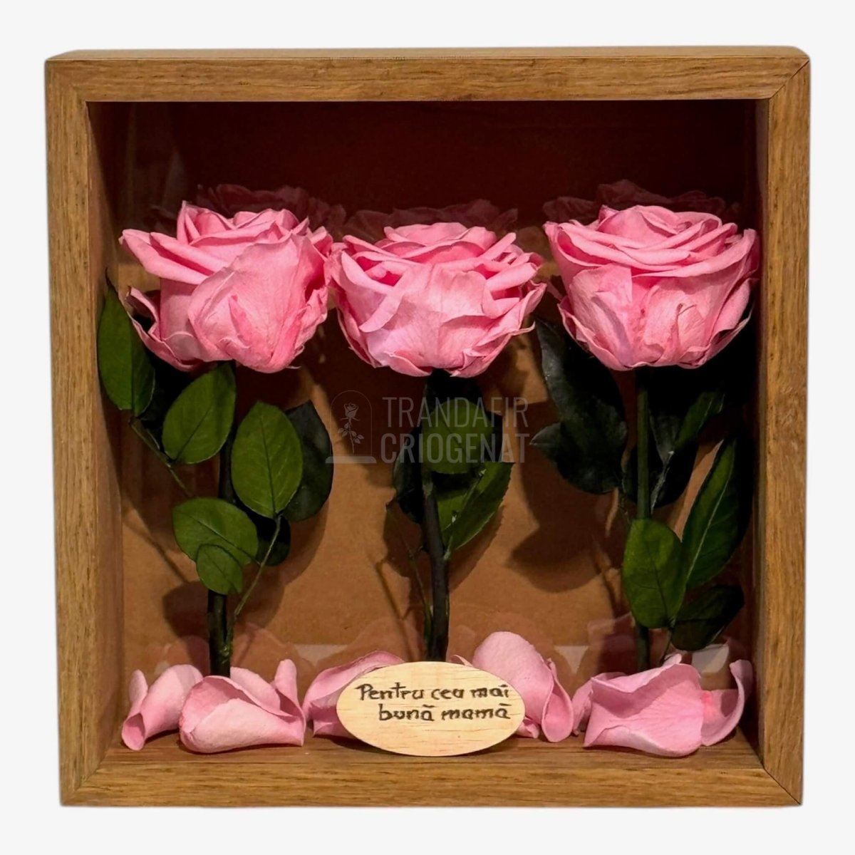 Tablou Cu Trandafiri Criogenați Roz Cadoul Perfect Pentru Mama Durabil Până La 25 De Ani - Trandafir - Criogenat.ro