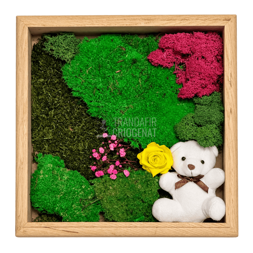 Tablou cu un trandafir criogenat galben pe mușchi 27 × 27 cm, cu ursuleț - Trandafir-Criogenat.ro