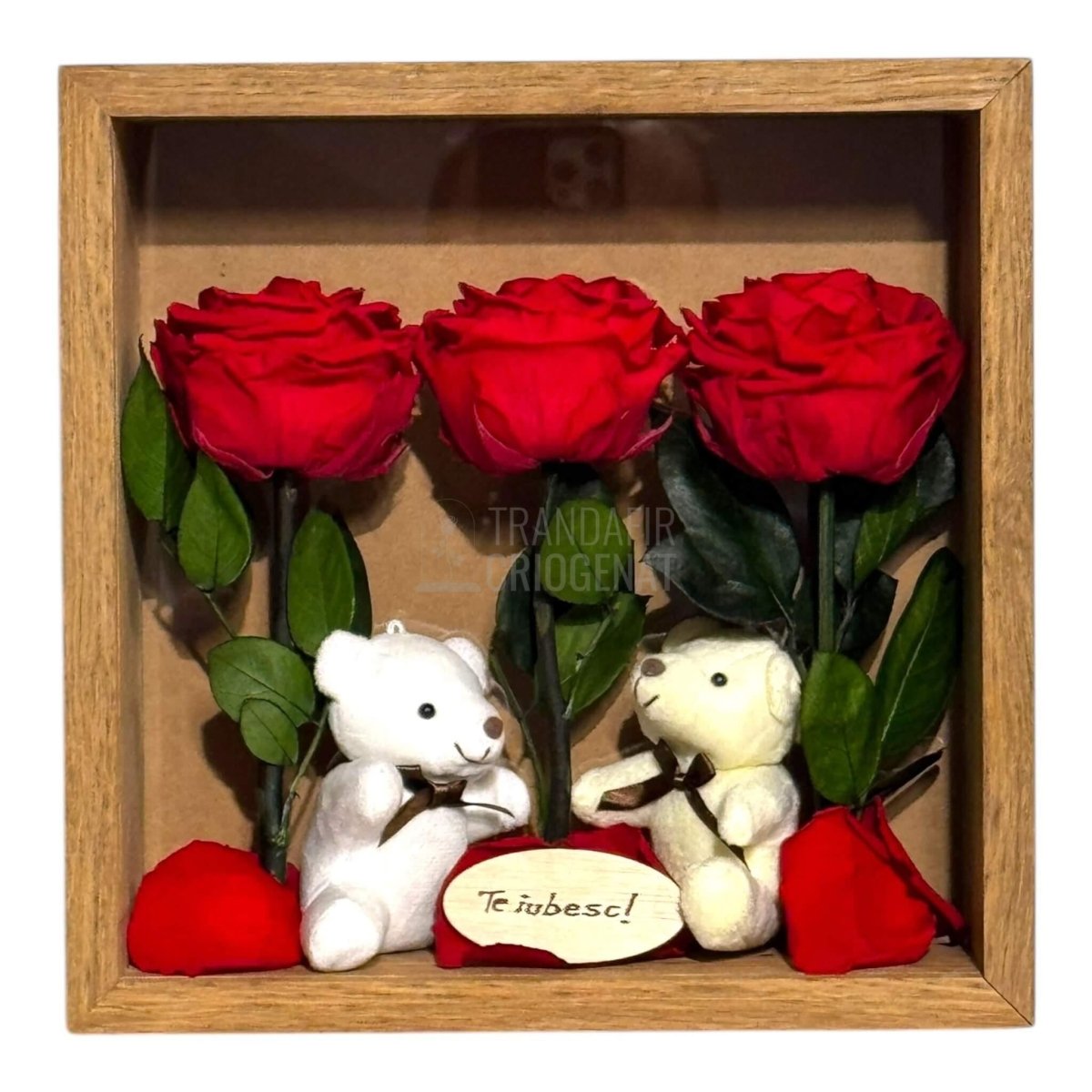 Tablou cu trandafiri criogenați roșii și urși de pluș cadou emoțional pentru iubire dimensiuni 27 × 27 cm