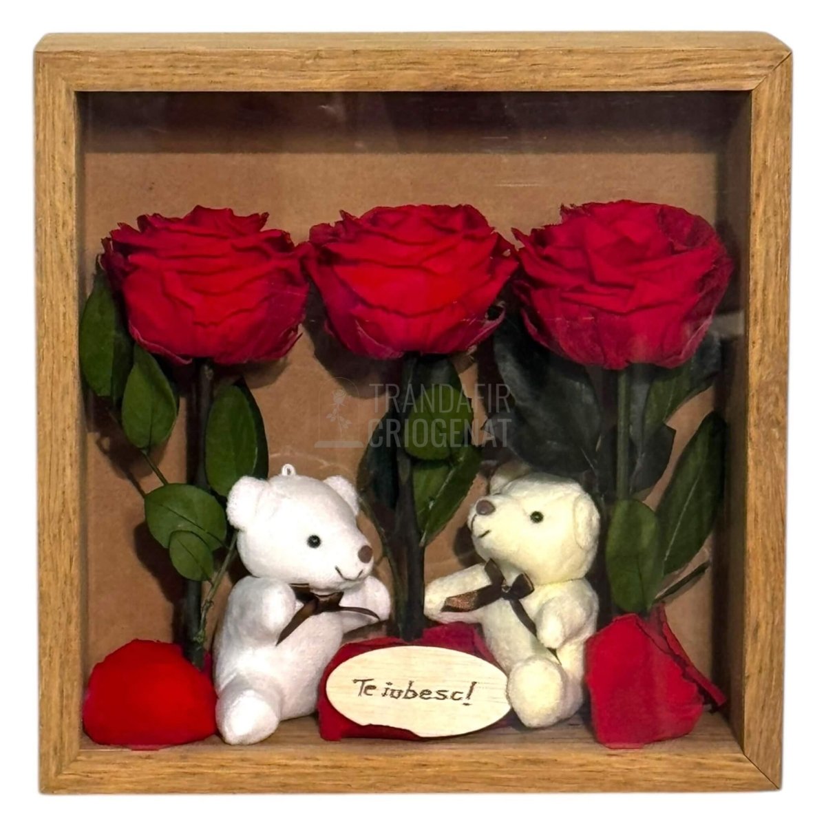 Tablou Elegant Cu Trandafiri Criogenați Roșii Și Urși De Plus Cadou Emoțional Pentru Iubire Dimensiuni 27x27 Cm - Trandafir - Criogenat.ro