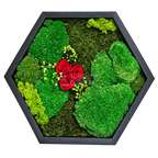 Tablou hexagonal cu 3 trandafiri criogenați roșii pe mușchi