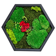 Tablou hexagonal cu 3 trandafiri criogenați roșii pe mușchi