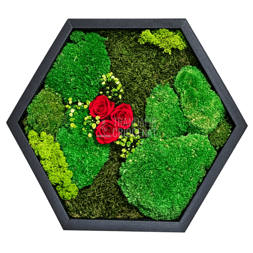 Tablou hexagonal cu 3 trandafiri criogenați roșii pe mușchi - Trandafir-Criogenat.ro
