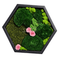 Tablou hexagonal cu 3 trandafiri criogenați roz pe mușchi