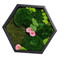 Tablou hexagonal cu 3 trandafiri criogenați roz pe mușchi