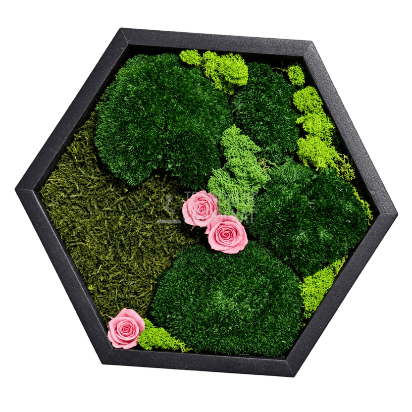 Tablou hexagonal cu 3 trandafiri criogenați roz pe mușchi - Trandafir-Criogenat.ro