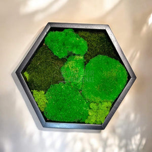 Tablou Hexagonal Cu Mușchi Bombat Mușchi Plat Stabilizat Și Licheni Decorativi Stabilizați Decor Natural Elegant - Trandafir - Criogenat.ro