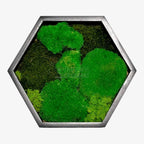 Tablou Hexagonal Cu Mușchi Bombat Mușchi Plat Stabilizat Și Licheni Decorativi Stabilizați Decor Natural Elegant - Trandafir - Criogenat.ro