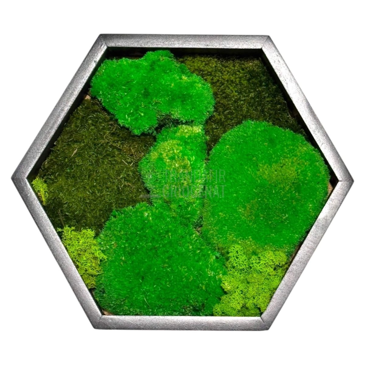 Tablou Hexagonal Cu Mușchi Bombat Mușchi Plat Stabilizat Și Licheni Decorativi Stabilizați Decor Natural Elegant - Trandafir - Criogenat.ro