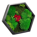 Tablou Hexagonal Cu Mușchi Licheni Și 3 Trandafiri Criogenați Roșii În Ramă Premium 35 cm - Trandafir - Criogenat.ro