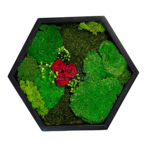 Tablou Hexagonal Cu Mușchi Licheni Și 3 Trandafiri Criogenați Roșii În Ramă Premium 35 cm - Trandafir - Criogenat.ro