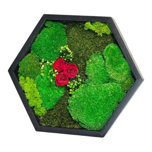 Tablou Hexagonal Cu Mușchi Licheni Și 3 Trandafiri Criogenați Roșii În Ramă Premium 35 cm - Trandafir - Criogenat.ro