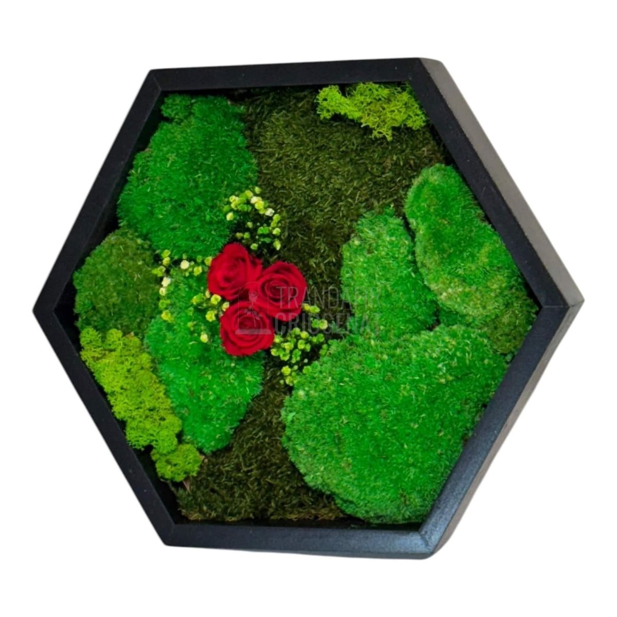 Tablou Hexagonal Cu Mușchi Licheni Și 3 Trandafiri Criogenați Roșii În Ramă Premium 35 cm - Trandafir - Criogenat.ro