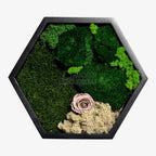Tablou Hexagonal Cu Mușchi Licheni Și Trandafir Criogenat Eleganță Naturală În Ramă Modernă De 35 Cm - Trandafir - Criogenat.ro