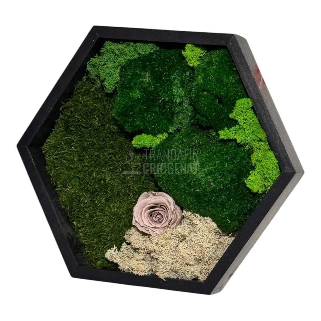 Tablou Hexagonal Cu Mușchi Licheni Și Trandafir Criogenat Eleganță Naturală În Ramă Modernă De 35 Cm - Trandafir - Criogenat.ro